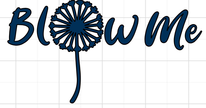 Decals- Funny