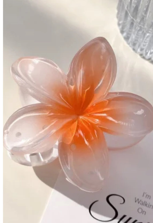 Hair (Clips and Pins)