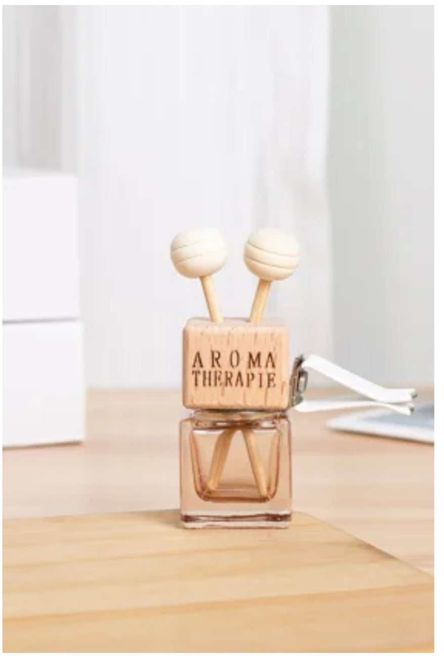 Dual Car Vent Diffuser